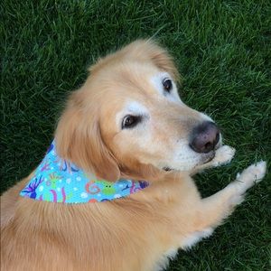 Meet your Posher, Emma